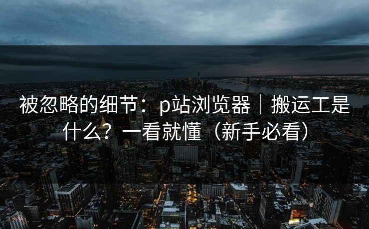 被忽略的细节：p站浏览器｜搬运工是什么？一看就懂（新手必看）