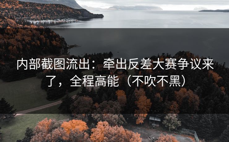 内部截图流出:牵出反差大赛争议来了,全程高能(不吹不黑)