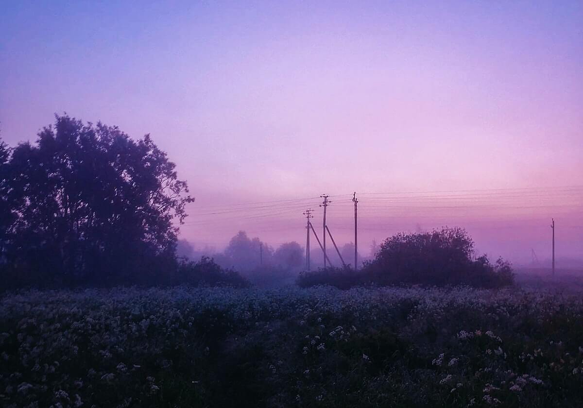 关键截图鉴别：围绕网红黑料｜别再被带节奏｜别二传