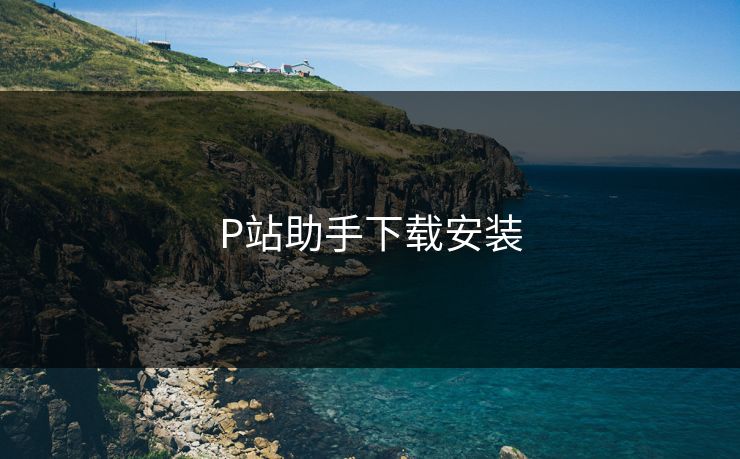 P站助手下载安装