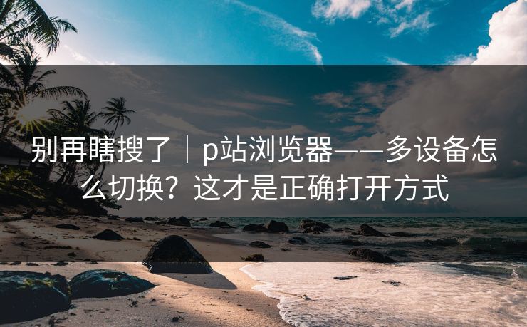 别再瞎搜了｜p站浏览器——多设备怎么切换？这才是正确打开方式