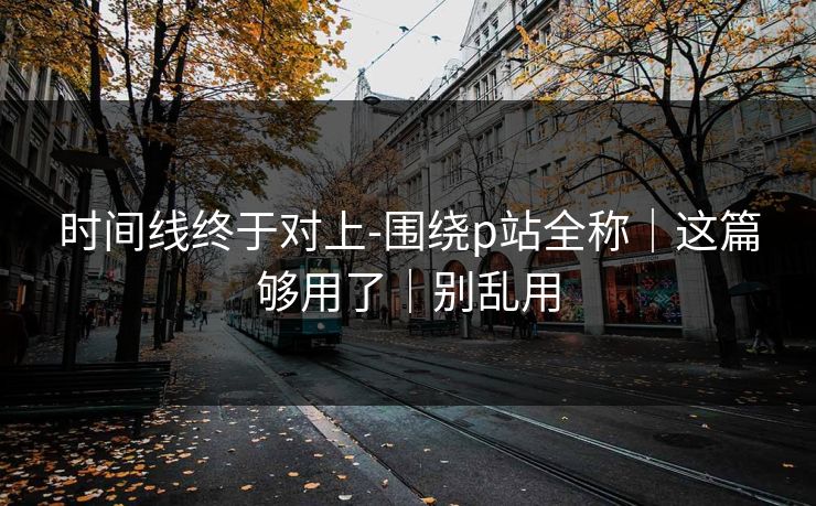 时间线终于对上-围绕p站全称｜这篇够用了｜别乱用
