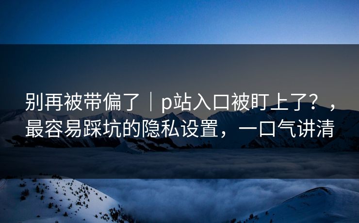 别再被带偏了｜p站入口被盯上了？，最容易踩坑的隐私设置，一口气讲清