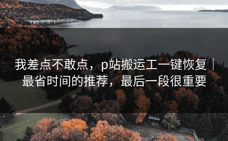 我差点不敢点，p站搬运工一键恢复｜最省时间的推荐，最后一段很重要