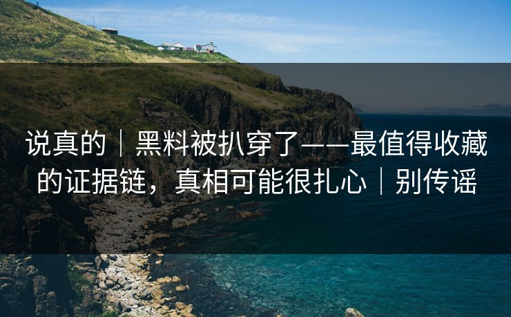 说真的｜黑料被扒穿了——最值得收藏的证据链，真相可能很扎心｜别传谣