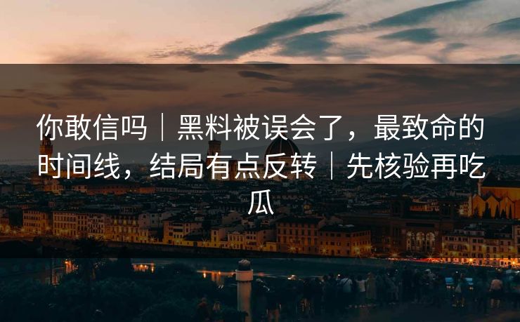 你敢信吗｜黑料被误会了，最致命的时间线，结局有点反转｜先核验再吃瓜