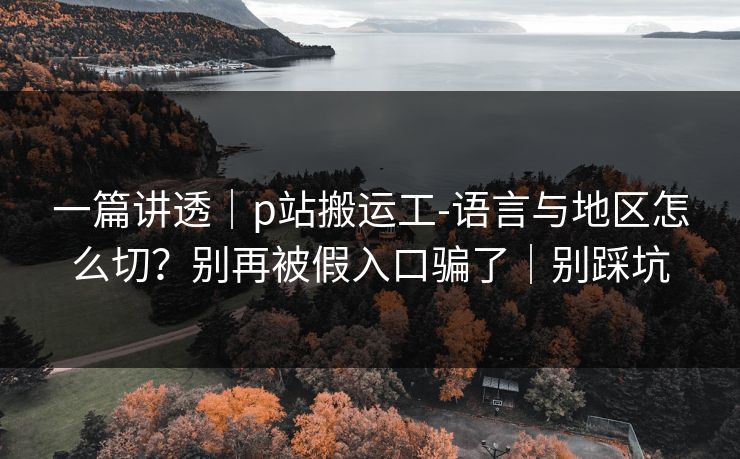 一篇讲透｜p站搬运工-语言与地区怎么切？别再被假入口骗了｜别踩坑