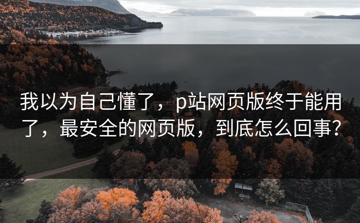我以为自己懂了，p站网页版终于能用了，最安全的网页版，到底怎么回事？
